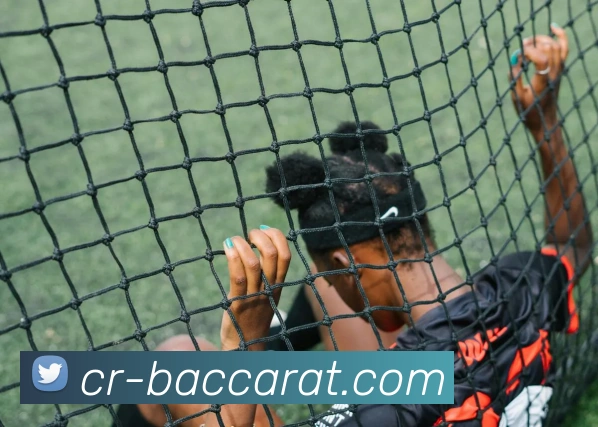 百家乐官网服务体系